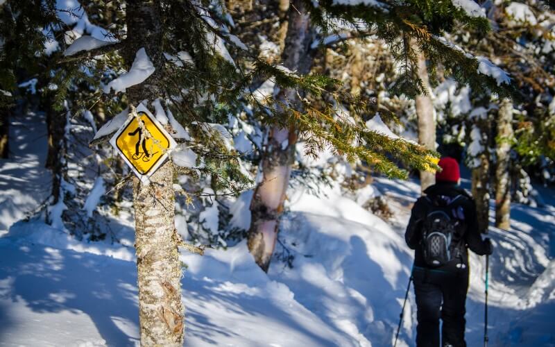 kokemuksia liukulumikengistä