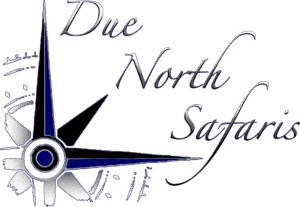 due north safaris logo