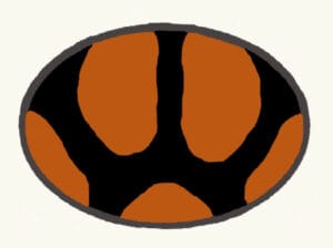 wildwildwestruka logo